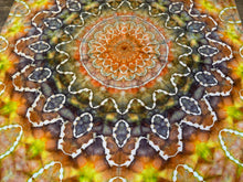 Load image into Gallery viewer, Psychedelic Kaleidoscope Tapestry
